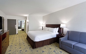 Room, 1 King Bed, Accessible, Non Smoking