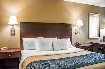 Deluxe Room, 1 King Bed, Non Smoking