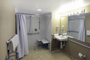 Deluxe Room, 1 King Bed, Roll-in Shower (ADA)