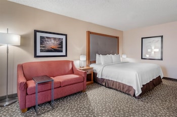 Standard Room, 1 King Bed, Non Smoking, Refrigerator & Microwave