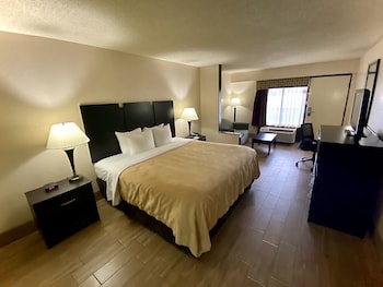 Suite, 1 King Bed with Sofa bed, Non Smoking (Upgrade)