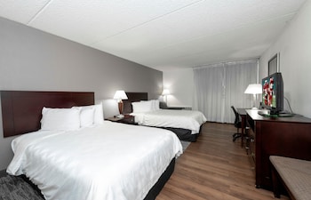 Deluxe Room, 2 Double Beds (Smoke Free, Roll-In Shower)