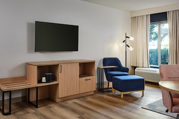 Studio Suite, 1 King Bed with Sofa bed, Microwave