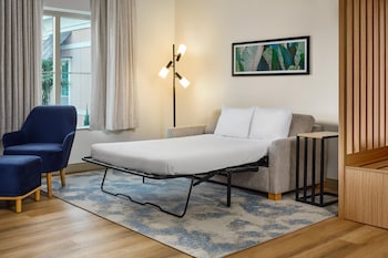 Studio Suite, 1 King Bed with Sofa bed, Microwave