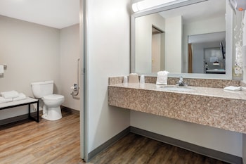 Deluxe Room, 1 King Bed, Accessible, Non Smoking (Roll-In Shower)