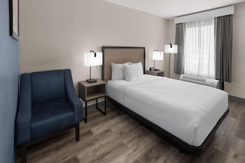 Room, 1 Queen Bed, Mobility Accessible, Non Smoking (Mobility, Roll-in Shower)