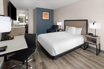 Room, 1 Queen Bed, Mobility Accessible, Non Smoking (Mobility, Roll-in Shower)