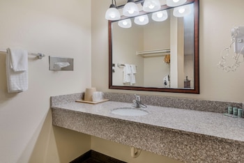 Standard Room, 1 King Bed, Non Smoking, Refrigerator & Microwave
