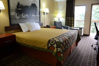 Room, 1 King Bed, Smoking
