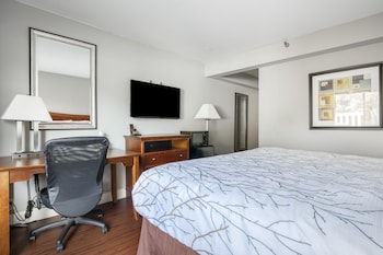 Room, 1 King Bed