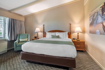 Business Room, 1 King Bed, Non Smoking