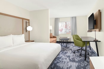 Executive Suite, 1 King Bed with Sofa bed