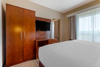 Ground Floor Executive Lakeview King Suite