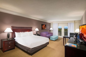 Room, 1 King Bed with Sofa bed