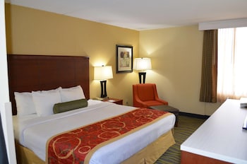 Standard Room, 1 King Bed, Accessible, Refrigerator & Microwave (Bathtub)