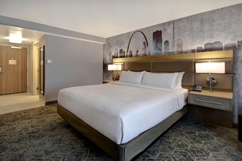 Room, 1 King Bed