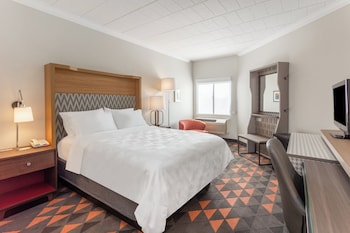 Standard Room, 1 Queen Bed, Accessible (Communications, Roll-In Shower)