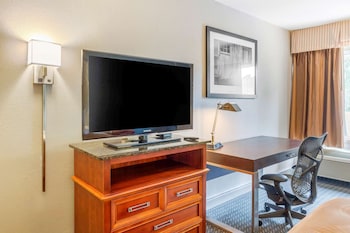 Room, 1 King Bed, Accessible, Non Smoking