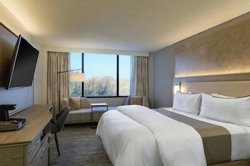 Traditional Room, 1 King Bed