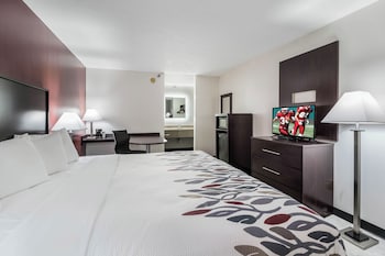 Superior Room, 1 King Bed, Non Smoking (Refrigerator & Microwave)