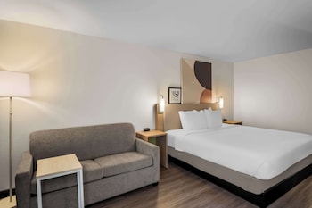 Room, 1 King Bed with Sofa bed