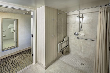 Room, Accessible, Non Smoking (Roll-in Shower)