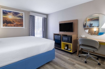 Room, 1 King Bed, Non Smoking (Pet Friendly)