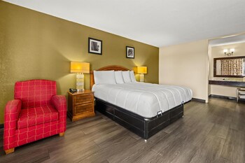 Room, 1 King Bed, Smoking