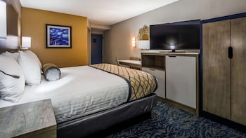 Standard Room, 1 King Bed, Accessible, Bathtub