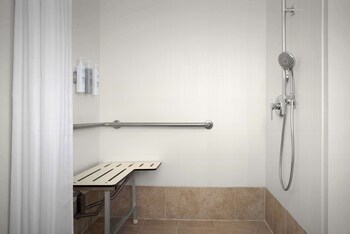 Room, 1 King Bed, Roll-in Shower (Mobility & Hearing)