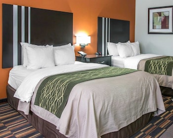 Standard Double Room, 2 Double Beds, Non Smoking