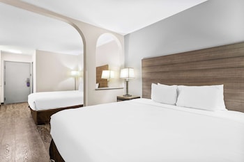 Room, Multiple Beds