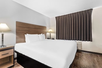 Room, 1 King Bed (Larger Room;with Sofabed)