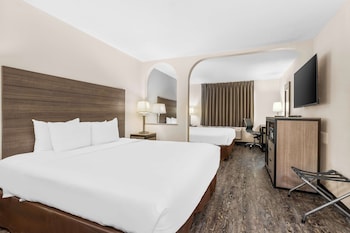 Room, Multiple Beds