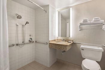 Traditional Room, 1 King Bed (Mobility/Hearing Access, Roll-In Shwr)