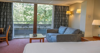 Executive Room, 1 King Bed, Non Smoking (with Sofabed)