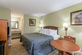 Room, 1 King Bed, Accessible, Non Smoking