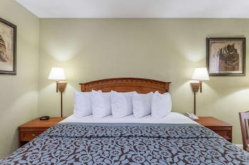 Room, 1 King Bed, Accessible, Non Smoking