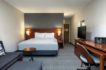 Room, 1 King Bed with Sofa bed