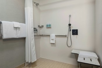 Room, 1 King Bed with Sofa bed (Mobility Accessible, Roll-in Shower)