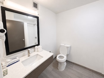Room, 1 King Bed, Accessible, Non Smoking