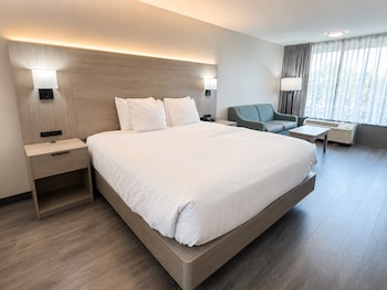 Room, 1 King Bed, Accessible, Non Smoking