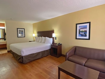 Standard Room, 1 King Bed, Accessible, Bathtub