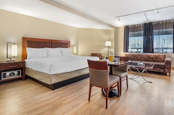Standard Studio, 1 King Bed, Non Smoking, Kitchen (Full Kitchen)