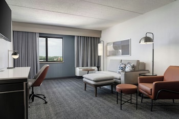 Room, 1 King Bed with Sofa bed