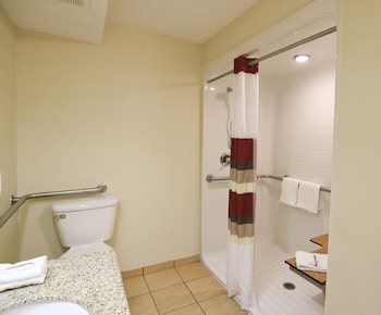 Superior Room, 1 King Bed, Accessible, Non Smoking (Roll-In Shower)