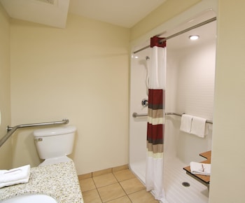 Superior Room, 1 King Bed, Accessible, Non Smoking (Roll-In Shower)