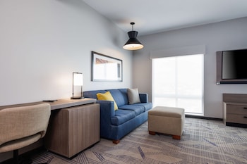 Suite, 1 King Bed with Sofa bed (Roll-in Shower)