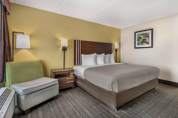 Room, 1 King Bed, Accessible, Non Smoking