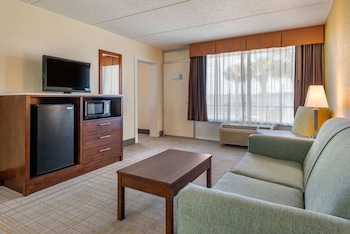 Suite, 1 King Bed with Sofa bed, Non Smoking